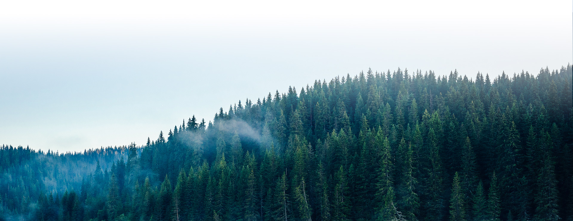 Development Milestones